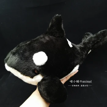 Mielas Žudikas Banginių Modeliavimas Gyvas Pliušinis Lėlės Žaislas Realiame Gyvenime Gyvūnai, Lėlės Kūdikio Gimtadienio Dovanos